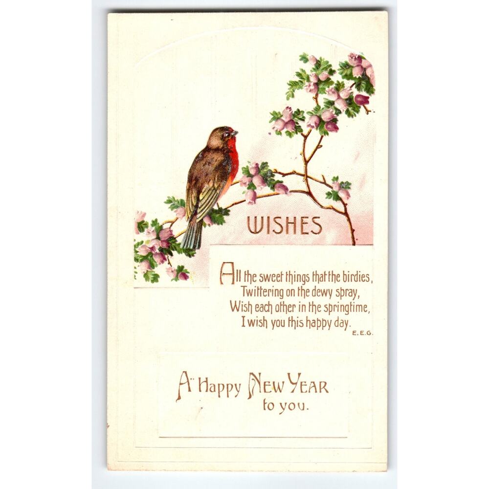 Vintage Embossed New Year Postcard Robin & Pink Flowers Sent 1911